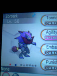 Shiny Zoroark :)