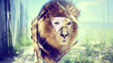 Hipster Wallpaper Concept Lion