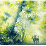 Forest Passage