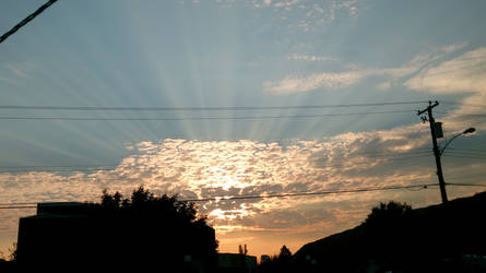 Sunbeams1