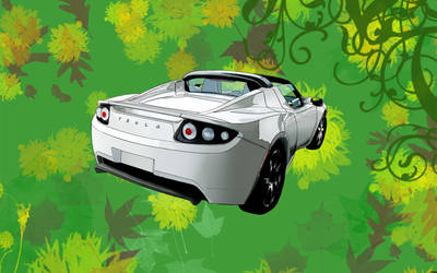 Tesla Roadster - go green