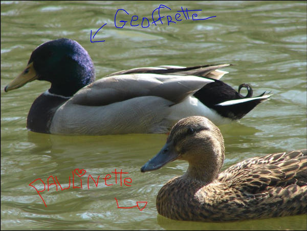 geoffrette et paulinette