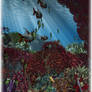 Coral reef
