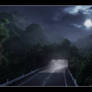 Into the Night