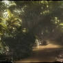 Rainforest
