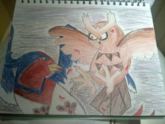 Swellow vs. Noctowl