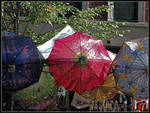 Umbrellas by Poetrymann