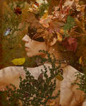 November by Poetrymann
