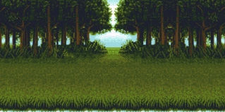Woods Background