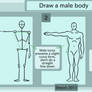 How to draw a male body