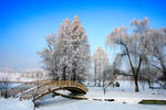 Silence Freeze by Nazareanu