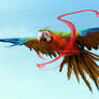 Study: Macaw
