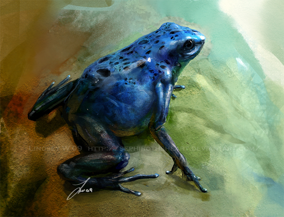 Study: Poison Dart Frog