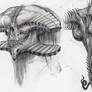 Creature Head Sketches