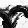 Maw