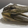 Alligator Head Study