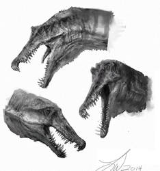 Spinosaurus Sketches