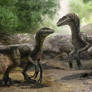 Commission: Raptor Siblings