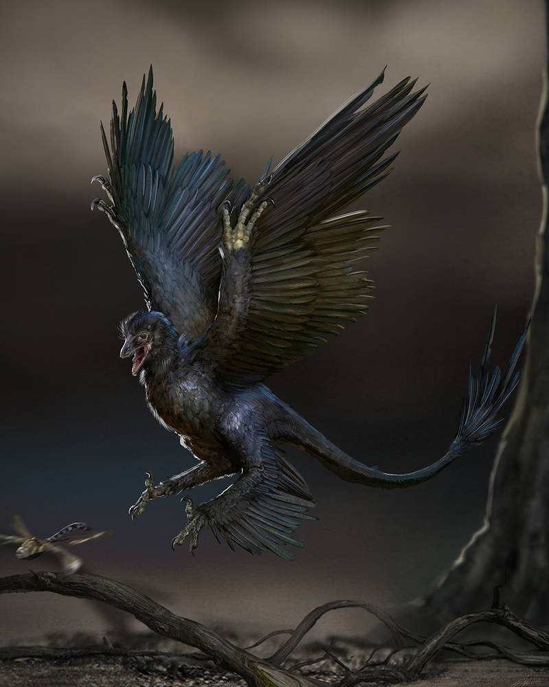 Microraptor by LindseyWArt on DeviantArt