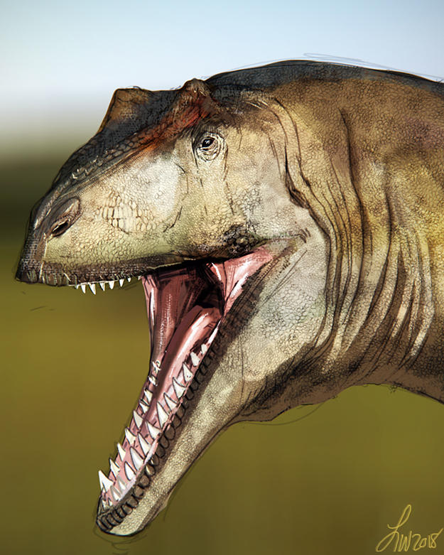 Dinovember Allosaurus By LindseyWArt On DeviantArt dinovember-allosaurus-by-lindseywart-on-deviantart