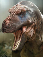 Dinovember: Tyrannosaurus Rex
