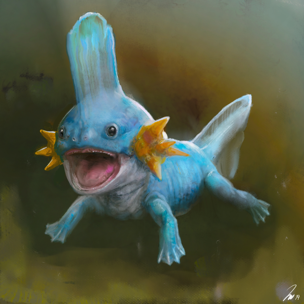 Mudkip By LindseyWArt On DeviantArt mudkip-by-lindseywart-on-deviantart