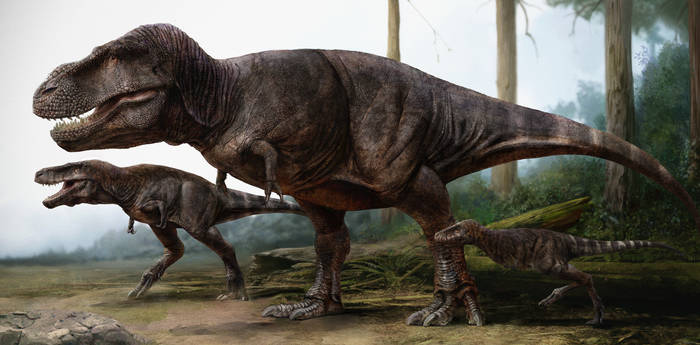 Tyrannosaurus Rex Family Portrait