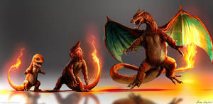 Pokemon - Charmander Evolutions