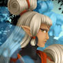 Hyrule Warriors Impa