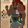 Gerudo OC: Gann Rahqdorf Dramirhe