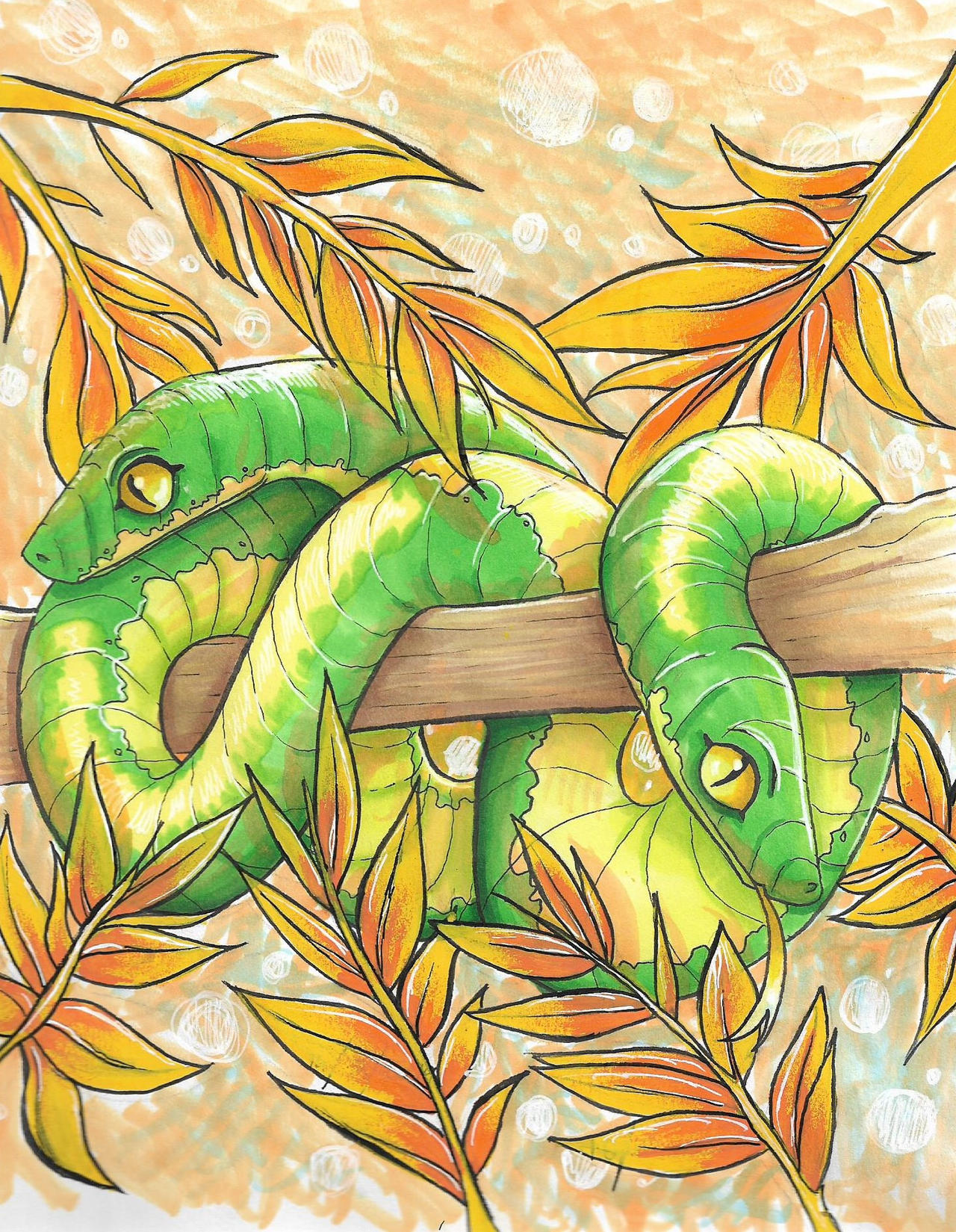 Two headed snake by BeksSketches on DeviantArt