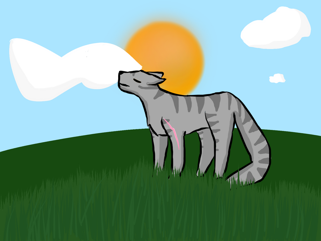 some random cat in some random field by Doglovermastiff on DeviantArt