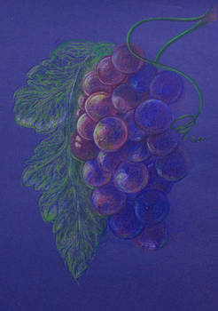 Grapes on the blue