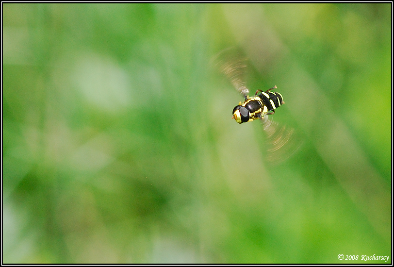 Frozen in flight II