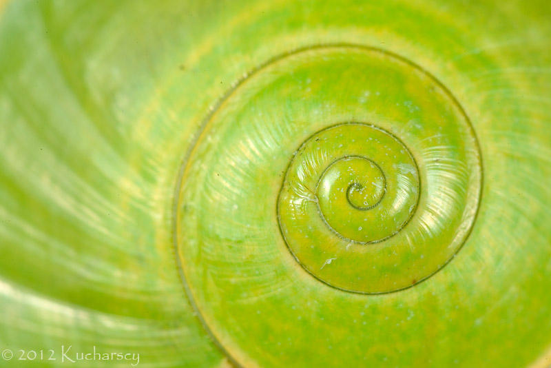 Green vortex by Dark-Raptor on DeviantArt