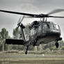 Black Hawk