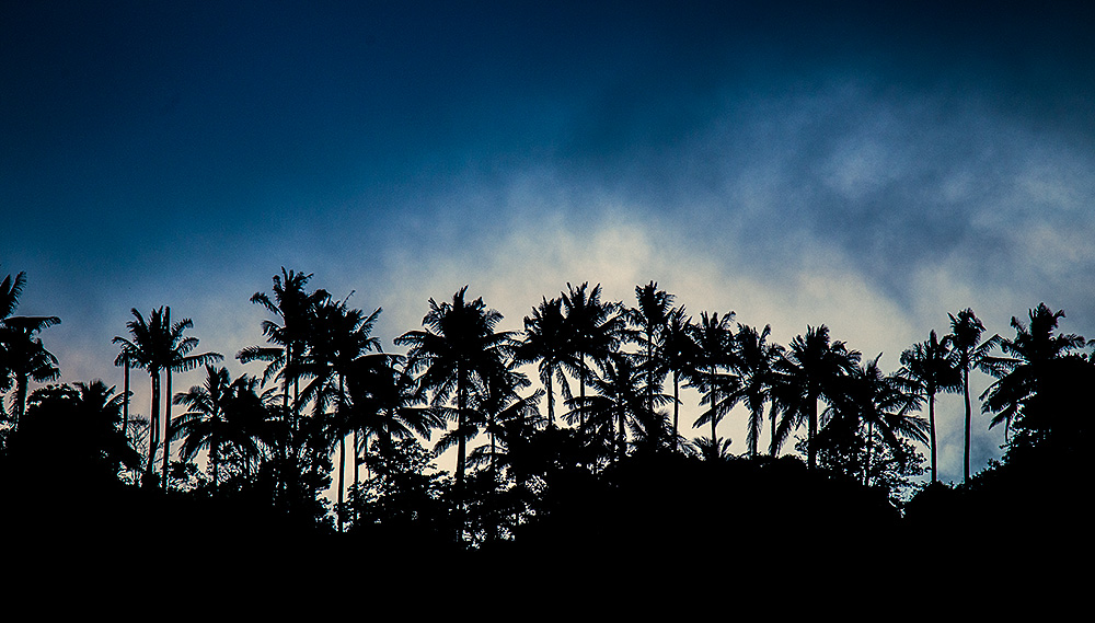 Tropical dawn