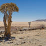 Namib Desert