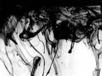 Ink 03 by LorraineFish