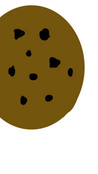 Fat cookie 