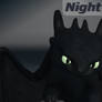 Night Fury Dragon