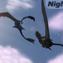 Night Furies - Tag your it.