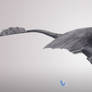 Night Fury - Flight
