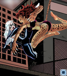 Black Cat vs. Cheetah