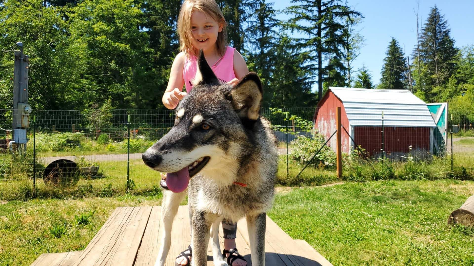 Riley Boi by Lokiiish on DeviantArt