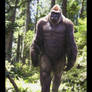 Sasquatch Photomanipulation