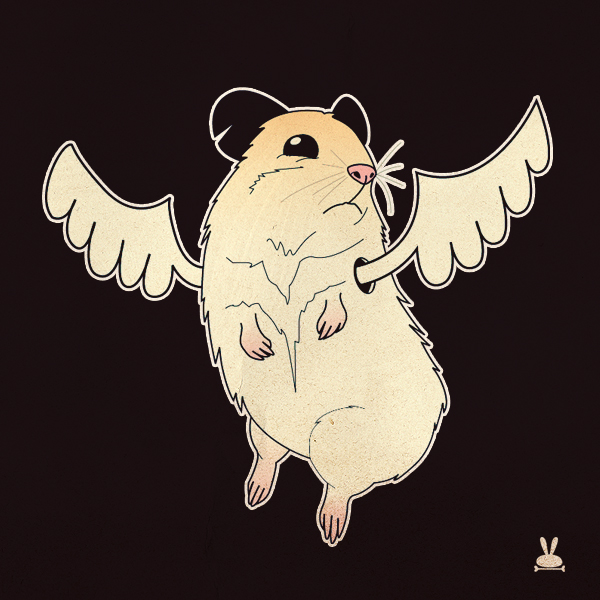Flying Hamster by daskull on DeviantArt Flying Hamster by daskull on DeviantArt