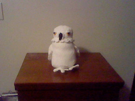 Hedwig Commission (Front View)