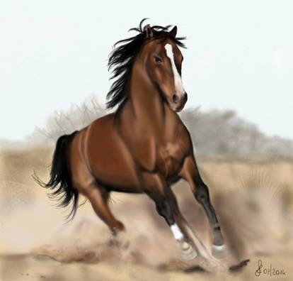 Running horse