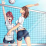 Volley